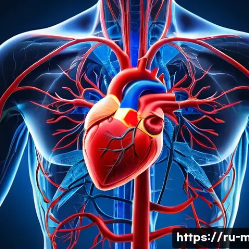 순환기 해부학 - The Vibrant Engine of Life: Circulatory System in Motion**
A visually striking, semi-transparent ana...